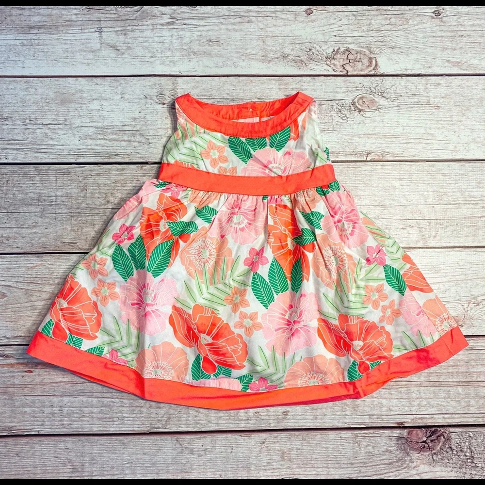 📌🆕Gymboree • Fairy Blossom • Dress